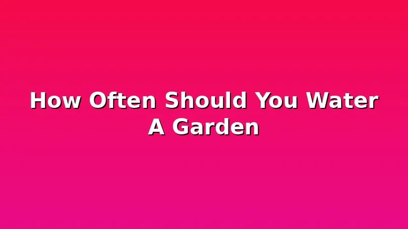 How Often Should You Water A Garden - SoilDock review with measurements and honest opinion