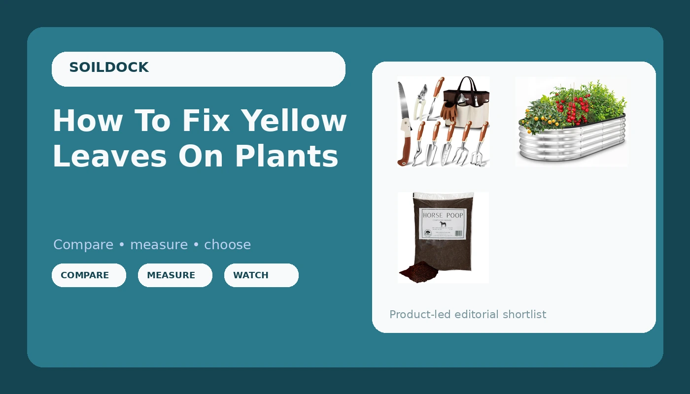 How To Fix Yellow Leaves On Plants - SoilDock review with measurements and honest opinion