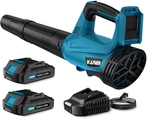 Budget 2-Battery Blower (B0DJJB7WS9)